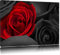 roses rouges romantiques noir / blanc sur toile, énorme XXL photos complètement encadrée avec civière, impression d'art sur ??la photo murale avec cadre, moins cher que la peinture ou une peinture à l'huile, pas une affiche ou une bannière