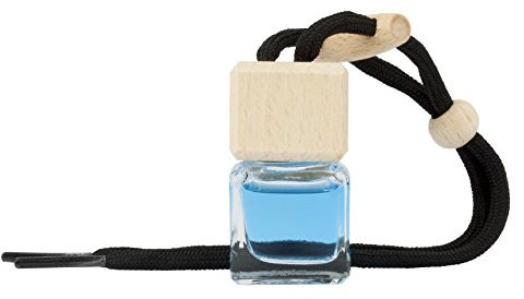 PARADISE SCENTS Paradise PER80206 Perfumador Botella BL Menta Paradise, 7 ml, Color Verdoso