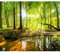 murando - Vlies Fototapete Wald 200x140 cm - Foto Tapete Schlafzimmer Wohnzimmer Moderne Vliestapete XXL Wandtapete Motivtapeten Bildtapete 3d Effekt Wand Dekoration - Sonnenschein c-B-0241-a-a