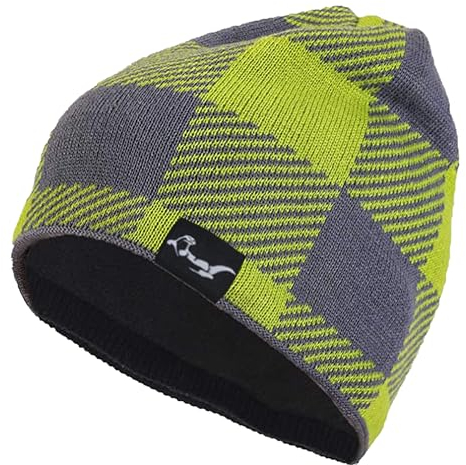 Wasserdichte Unisex Beanie Mütze für Damen & Herren - Warme Wintermütze mit Weichem Fleecefutter in Ideal zum Laufen, Skifahren, Snowboarden. (DE/NL/SE/PL, Alpha JASPO, Einheitsgröße, Grau - grün)