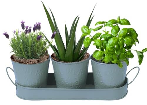Trendi – Set of 3 Metal Plant Pots with Drip Tray | Embossed Indoor & Outdoor Plant Pots for Garden, Windowsill, Kitchen & Desk | Decorative Metal Flower Pots for Herbs & Plants | Light Green