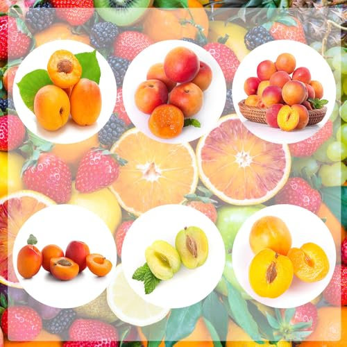 50 piezas comprar semillas de albaricoquero - fruta columnar, invernadero interior,Prunus armeniaca, Árbol bonsái real, semillas de plantas. frutas exóticas, plantas perennes resistentes