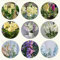 50 pcs usambaraveilchen samen blumen geschenk veilchen samen, wildblumensamen mehrjährig winterhart, steingartenpflanzen winterhart, mehrjährige blumenwiese samen balkonpflanzen balkon
