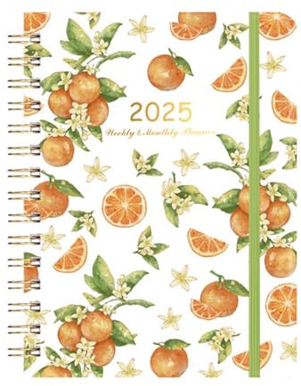 Daily Journal Notebook 2025, 2025 Monthly Calendar Planner, 2025 Weekly
