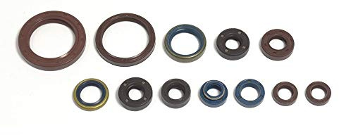 Athena P400010400027 Wellendichtringsatz Motor