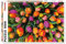 Piatnik Tulips Jigsaw Puzzle (1000 Stück)