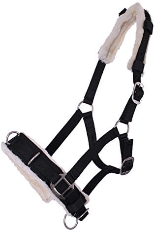 ARBO-INOX Kappzaum Halfter Nylonhalfter Longierhalfter QHP 4 Farben und 4 Grössen Größe Cob Vollblut
