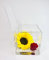 Passionefiori.it Cubo Girasole Stabilizzato 12cm, Girasole eterno, Idea Regalo Donna Compleanno, Fidanzati, Come Una Rosa stabilizzata Vera, Regali Natale, Anniversario Idea Regalo per lei