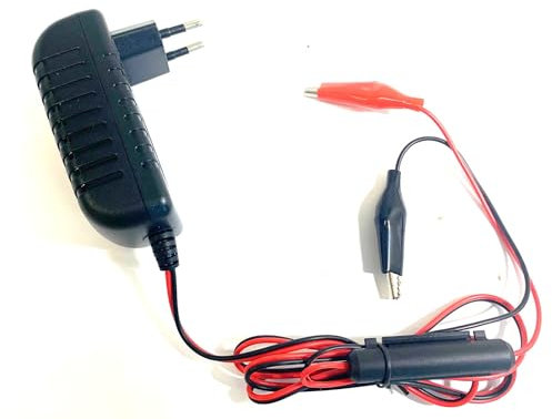 Enerpower Steck Ladegerät 4S 14,6V für LiFePo4, AGM Akkus 12V (12,8V) 2A Krokodile