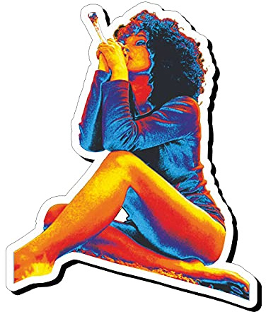 AMA SHOP Aufkleber für Damen, mit Hippie-Ruten, aus PVC, für Glas-Aufkleber, Wandtattoo, Motorradhelm, Wohnmobil, Boot