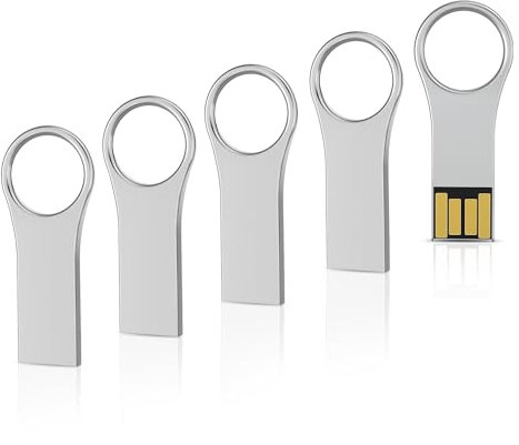 RAOYI 5 Pack 64GB Metal Key Shape USB Flash Drive, USB 2.0 Memory Stick Thumb Drives Jump Drive for PC Laptop Desktop Computer-Silver