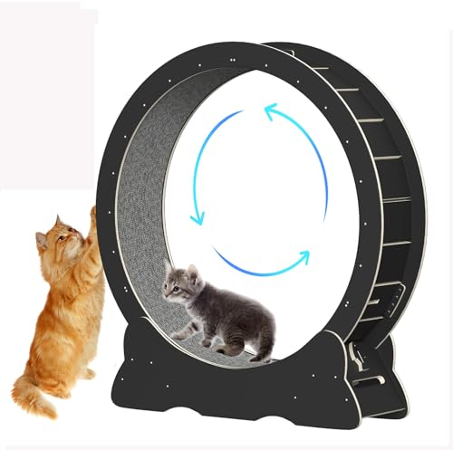 Katzenlaufrad, Laufrad für Katzen, 100cm Innendurchmesser, Super Leises Haustier Spielzeug, Holzlaufrad Wheel Innen für Kleine bis Große Katzen (Schwarz, XL)
