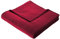 Biederlack Wohn- und Kuscheldecke, 100 % Baumwolle, Samtband-Einfassung, 150 x 200 cm, Rot, Cotton Pure, 239695