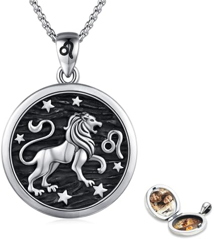 REDSUN Horoskop Halskette 925 Sterling Silber Medaillon-Halskette Sternzeichen Anhänger 12 Konstellation Oxidierte Halskette Schmuck für Frauen und Mädchen