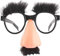 Clockjuan Halloween Verkleidung Brille Lustige Verkleidungsbrille Mit Lustiger Nase Augenbrauen Schnurrbart Groucho Marx Eyewear Cosplay Halloween Party Dekoration Kostüm Foto Prop Party Kopfbedeckung