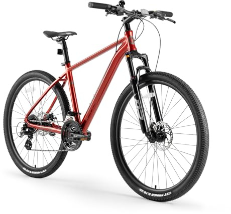 ROCKBROS MT·200 Mountainbike aus Aluminium mit Altus M310 24-Gang