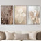VTRXEG Pampasgras Bilder Poster Set,Beige Pampas Wandbilder Poster Moderne Nordic Wand Deko Bilder,Für Wohnzimmer Wanddekoration Ungerahmt (B,3x80x120cm)