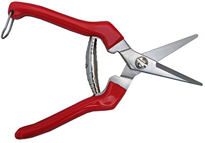 TABOR TOOLS K77E Sécateur de précision, Lame INOX, Ciseaux de Jardin, Ciseaux de récolte pour Fruits, Fleurs coupées, Herbes, légumes hydroponiques et Raisins.