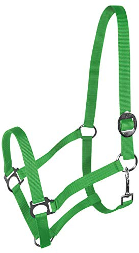 York Nylonhalfter Halfter Genickstück Verstellbar durch Schiebeschnalle Harmony Pferdehalfter (Full, hellgrün)