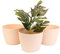 Home Garden Ornaments Large Plant Pots Indoor – Indoor Plant Pot for Home and Garden, Decorative Striped Set of 3 Flower Pots (Diameter 30cm, Light Beige)