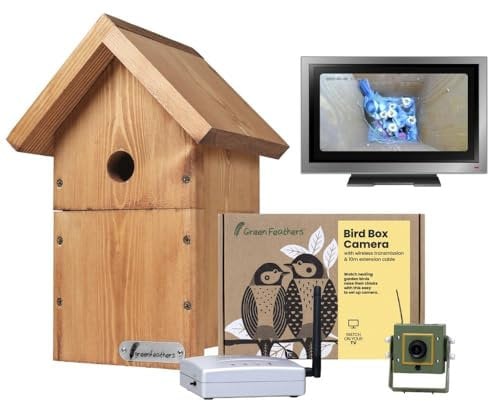 Green Feathers Wildlife Wireless Bird Box 700 TVL Camera, Wireless Receiver, Watch Birds on your TV, No Internet Required (Starter Pack)