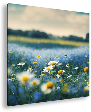 Leinwandbild Blumenwiese im Sommerlicht, Meer aus Blau und Gelb, Tanz der Natur. Format: 60x60 cm XXL Kunstdruck Bild auf Keilrahmen/Wandbild/Wohnzimmer Deko