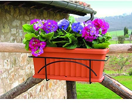 Bama Iris, da Balcone con piattino, Terracotta, 50 x 30 x 30 cm