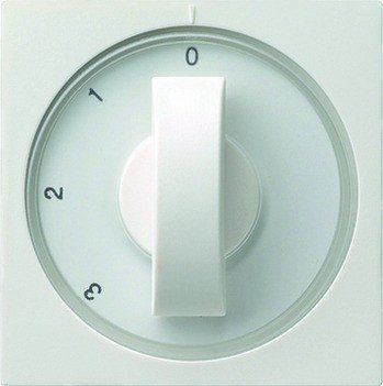 GIRA 066903 Zentralplatte 3Stufensch RG 4010337669036