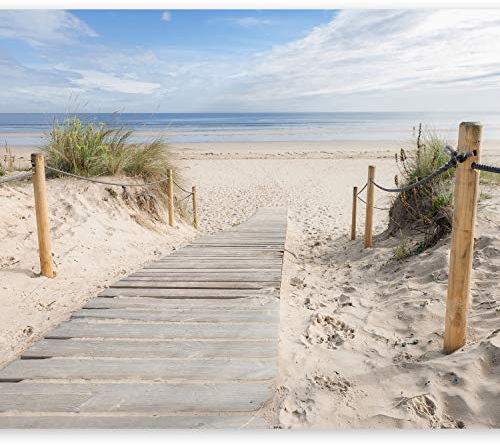 murando - Vlies Fototapete Strand und Meer 300x210cm- Foto Tapete Schlafzimmer Wohnzimmer Vliestapete XXL Wandtapete Motivtapeten Bildtapete 3d Effekt Wand Dekoration - Landschaft Natur c-B-0005-a-b