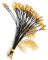 Hailege Câble d’extension WiFi IPX/UFL vers SMA 6 pouces (15 cm) - Adaptateur de câble d'antenne WiFi - Compatible avec Routeur, Télévision - Extérieur