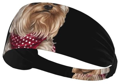 Sports Headband,Elastic Headbands Sweatbands Hair Band for Gym, Cycling, Tennis, Yorkshire Terrier Teacup Dog Baby
