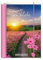 Terminplaner Hardcover - Lichtblicke A6 - Taschenkalender 2025 - Grafik Werkstatt - Buchkalender mit Verschlussgummi und Postkarten - 1 Woche auf 2 Seiten - 11 cm x 15,5 cm