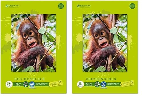 Staufen Edition Dürer Zeichenblock - DIN A4, 18 Blatt, geleimt, premiumweißes 100g/m² Recyclingpapier, 4 verschiedene Motive (keine Auswahl möglich), 1 Stück (Packung mit 2)