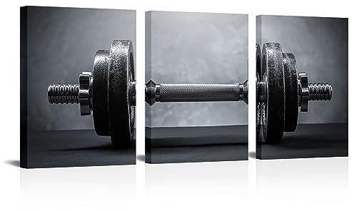 YeiLnm Fitness Gym Leinwand Wandkunst Dekor Schwarz und Weiß Modulare Hanteln Malerei Bild Sport Kunstwerk für Jungen Männer Schlafzimmer Dekoration Gerahmt Fertig zum Aufhängen