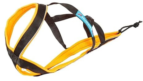 Universal-Hundegeschirr Inlandsis Polar Quest X-Back – Leicht, Ergonomisch und Robust – Canicross, Cani-MTB, Spaziergang und Wandern (Hund >15kg)