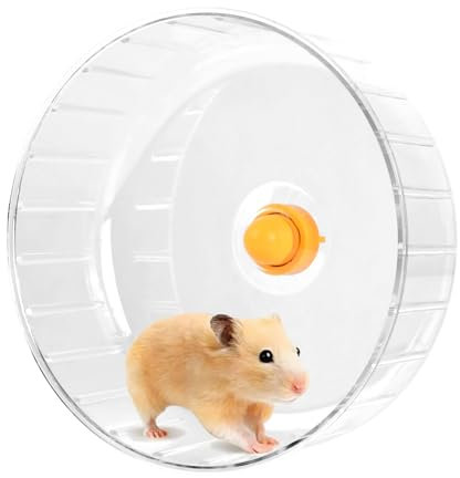 Roue d'Exercice Silencieuse 21 cm pour Hamster, Gerbilles, Chinchilla - Jouet Accessoire Transparent pour Totoro, Souris, Écureuil, Petit Animal