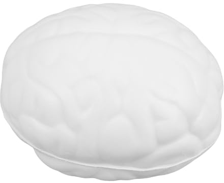 FRCOLOR Gehirn Stressball Aus Pu Schaumstoff Handlicher Tragbarer Zärtlicher Squeeze Spielzeug Sensorischer Stressabbau Fördert Fingerflexibilität Und Handgelenkstärke Weiß Für Erwachsene