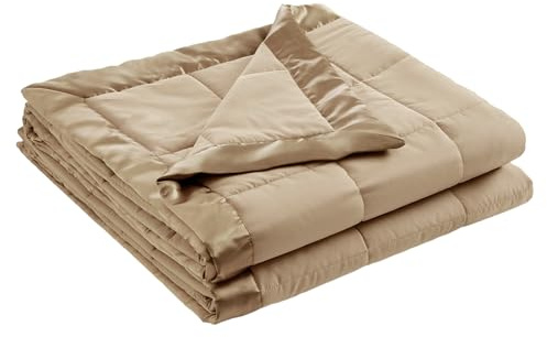 Madison Park Windom Down Alternative Blanket, Premium 3M Scotchgard Moisture Wicking Treatment, Lightweight and Soft Bed Cover For All Season, Satin Trim, Brown King
