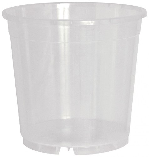 Pot transparent pour orchidée 17 cm transparent