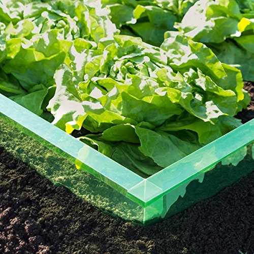 EXCOLO 8 m Schnecken-Barriere Schneckenschutz Schneckenzaun Schneckensperre Schneckenstopp Schneckenabwehr Schneckenschutzzaun Schneckenschutz für Salat Gemüsebeet umweltfreundlich giftfrei PET-Folie