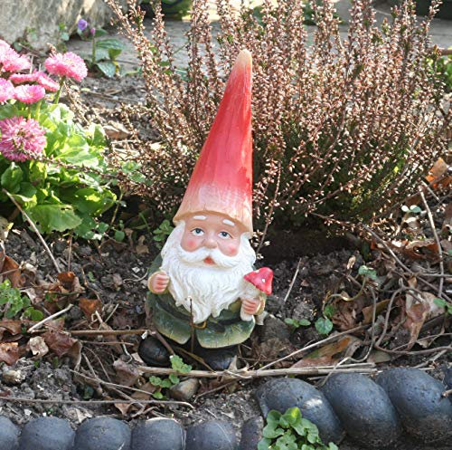 FHFY Garden Nain de jardin Toastie.