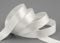 3 m x 15 mm Satinband IVORY Milchweiss (804) doppelseitiges Schleifenband aus Satin ohne Draht weich und glänzend Geschenkband Deko Band double face Dekoband Dekorieren Basteln