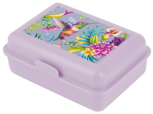 Baagl Brotdose Kinder für Schule – Lunchbox für Mädchen, Jungen, Kindergarten – Jausenbox, Brotzeitbox, Brotbox, Snackbox (Kolibri)