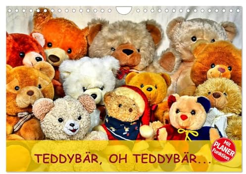 TEDDYBÄR, OH TEDDYBÄR... (Wandkalender 2024 DIN A4 quer), CALVENDO Monatskalender: Ein wunderschönes Geschenk für kleine und große Teddyliebhaber. (CALVENDO Hobbys)