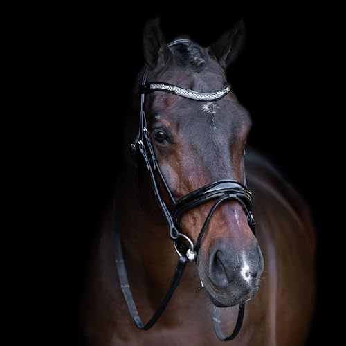 Imperial Riding Zaumzeug IRH mit englischem Reithalfter, Strass-Stirnband und gepolstertem Genickstück, Leder, Schwarz-Kristall, Shetty