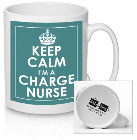 Keep Calm I'm a Charge Nurse Teal Ceramic Mug New Unique Easy Gift