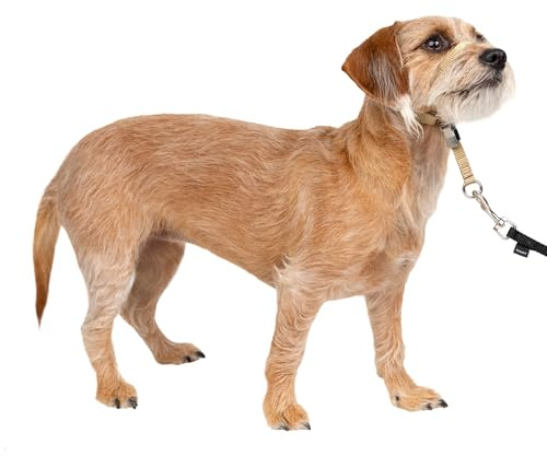 PetSafe Gentle Leader No-Pull Dog Headcollar - The Ultimate Solution to Pulling - Redirects Your Dog's Pulling for Easier Walks - Helps You Regain Control - Small, Fawn