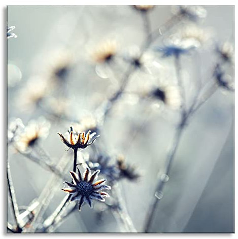 Pixxprint Glasbild, Wandbild auf Echtglas, Pflanzen im Frost, 70x70 cm, inkl. Aufhängung und Abstandshalter