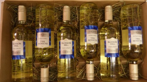 Blossom Hill Crisp and Fruity California White Wine (Case of 6)