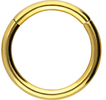 PIERCINGLINE Segmentring Clicker Titan Piercing Nase Septum Ohr Helix Lobe Tragus Goldfarben 0,8 x 8 mm